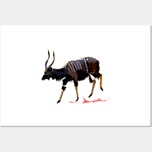 Nyala Posters and Art